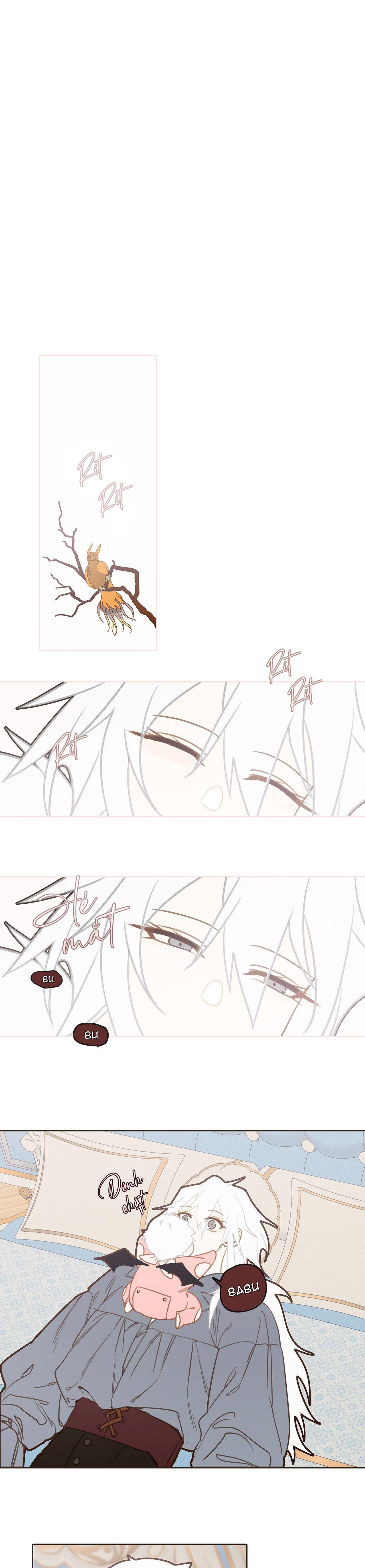 (ABO) TỚI QUỶ THÀNH TÌM PAPA Chapter 14 - Trang 2