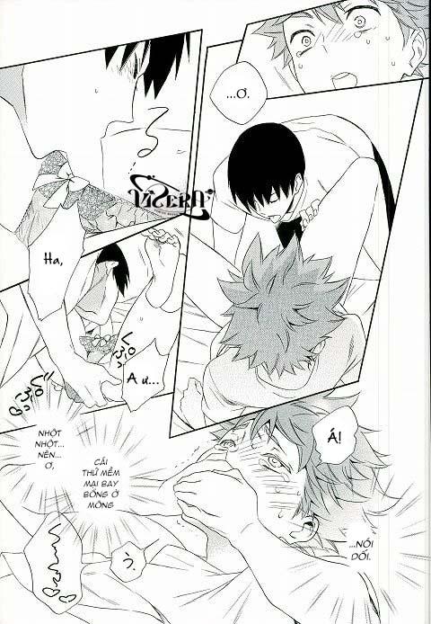Tuyển tập Haikyuu Chapter 4 - Trang 2