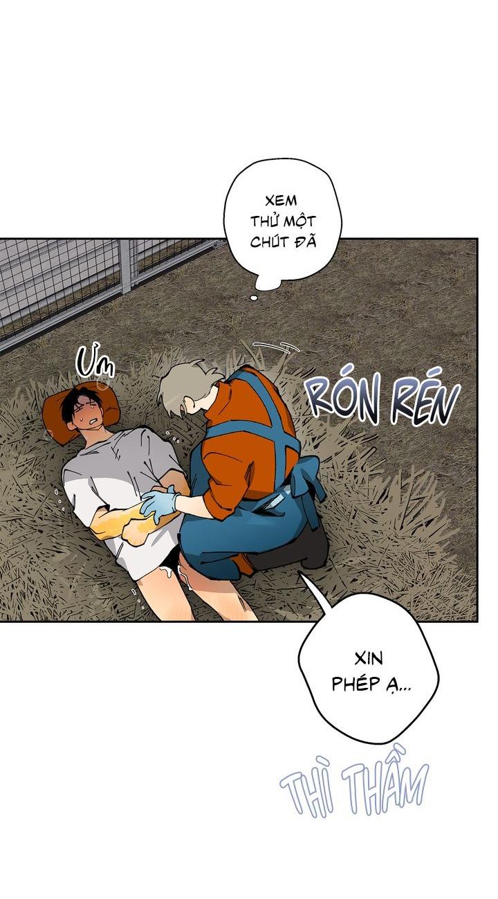 Mr.A's Farm Chapter 9 - Next Chapter 10