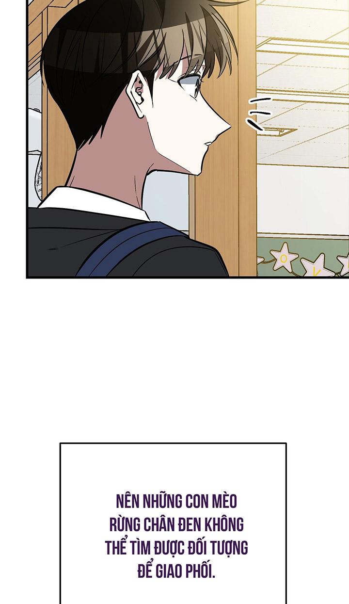 [DDT] HÃY SINH NHẤT MIÊU HÀI WILDCAT, NHƯ BẤT DỤC KIẾN NGÃ PHÁT CUỒNG! Chapter 1 19+ - Trang 2