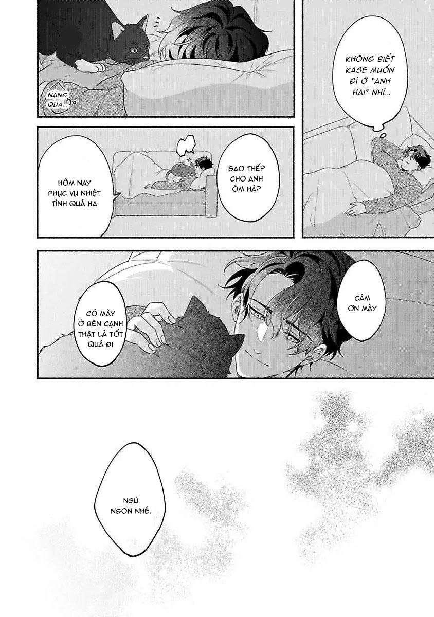 Vết cắn ngọt ngào và giấc mơ ban chiều Chapter 3 - Trang 2
