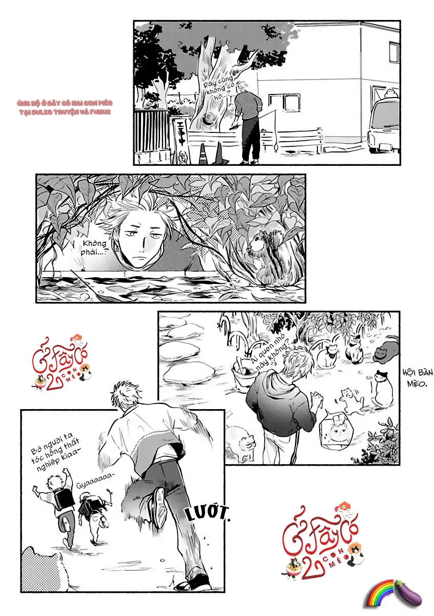 Tantei Jimusho no Kainushi-sama Chapter 1 - Trang 2