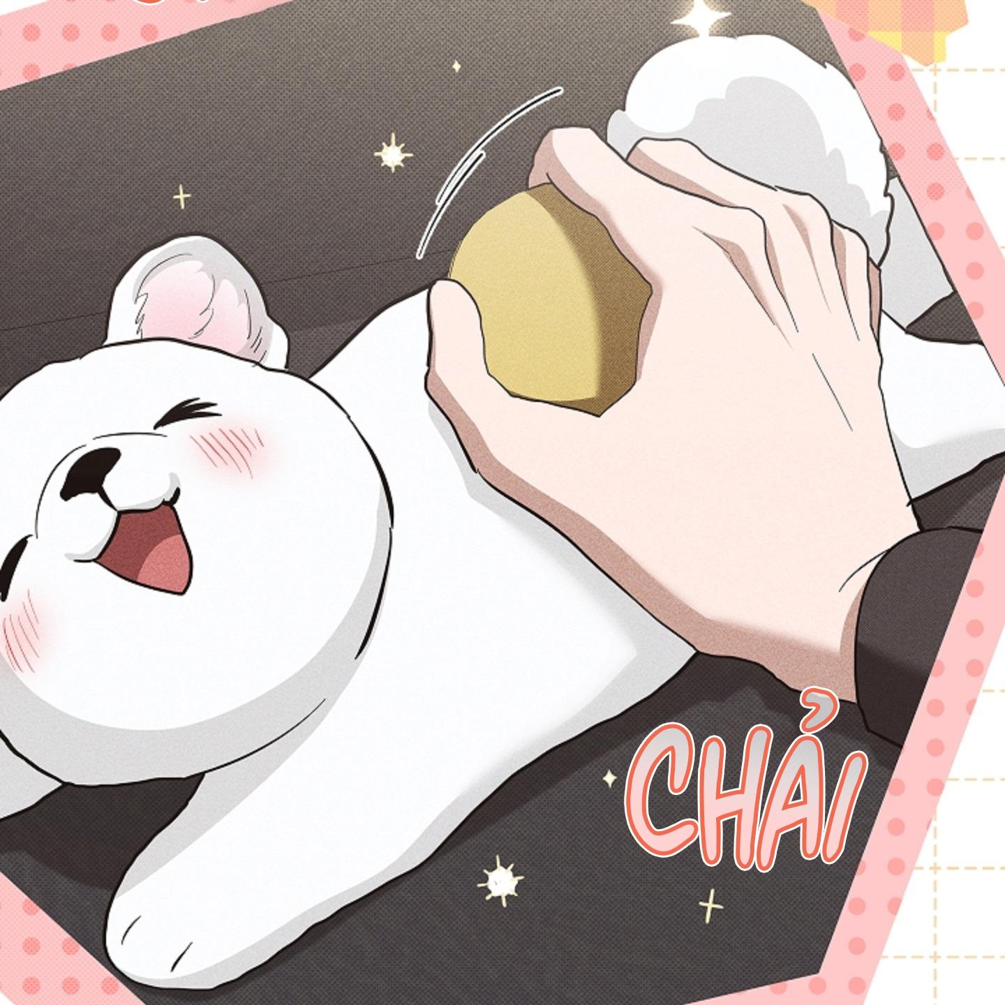ĐỪNG ĐỘNG VÀO CÚN CON! Chapter 44.02 - Trang 2