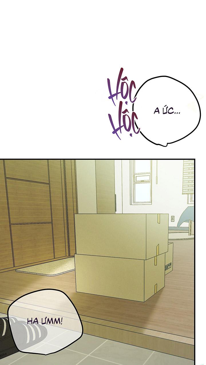 [DDT] HÃY SINH NHẤT MIÊU HÀI WILDCAT, NHƯ BẤT DỤC KIẾN NGÃ PHÁT CUỒNG! Chapter 1 19+ - Trang 2