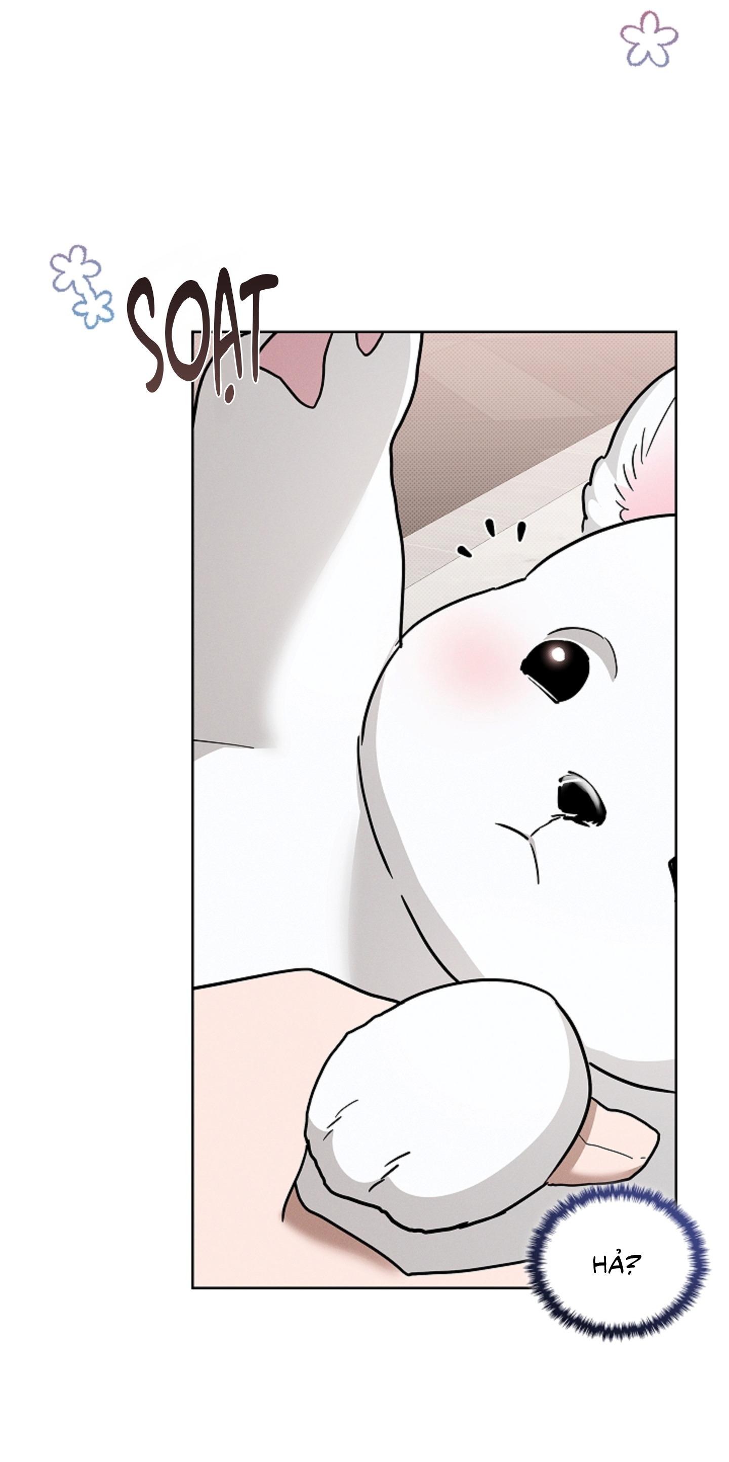 ĐỪNG ĐỘNG VÀO CÚN CON! Chapter 44.03 H - Trang 2