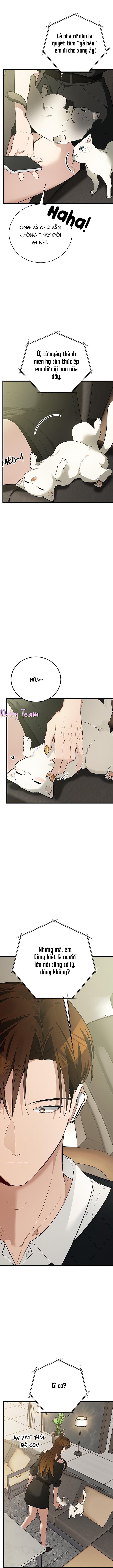 (Daisy) Sinh mèo con cho tôi mau trước khi thằng này điên lên Chapter 5 - Trang 2