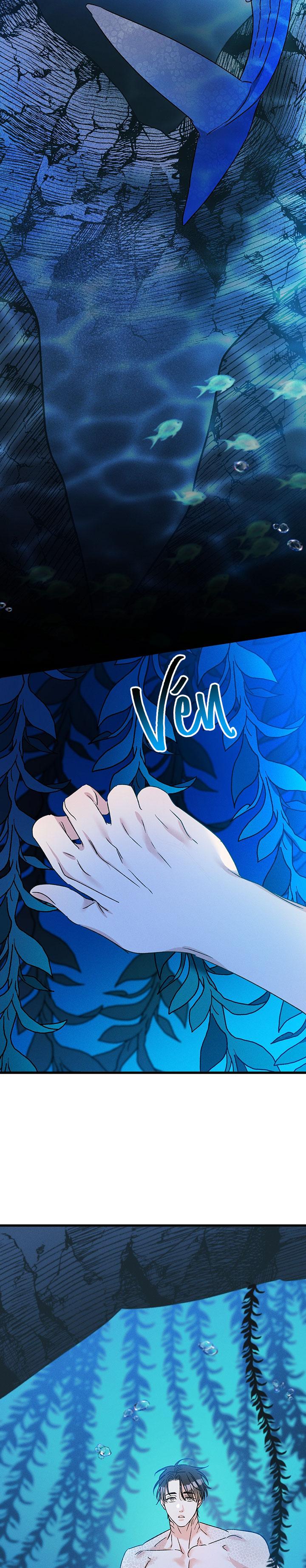 Mermaid's Cradle Chapter 2 - Trang 2