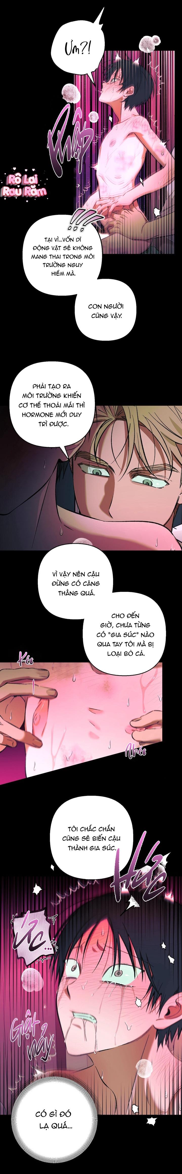 Tiệm bánh nóng bỏng Chapter 20 END Bộ 5 - Trang 2