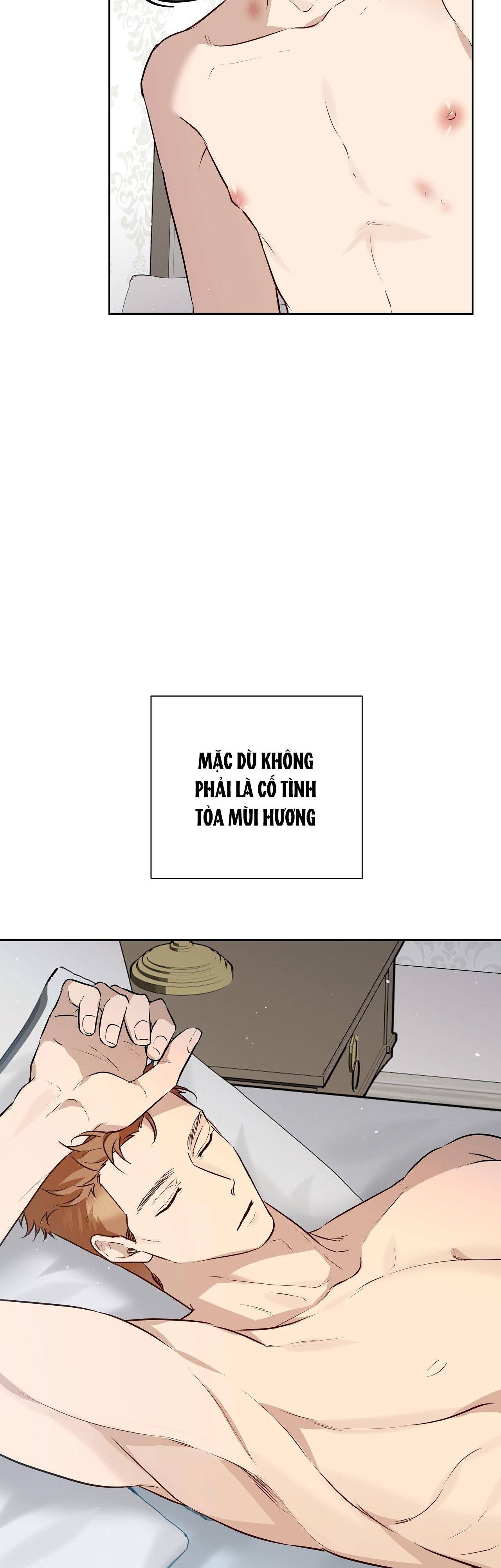 OMEGA HOÀN HẢO CỦA TÔI Chapter 34 - Trang 2