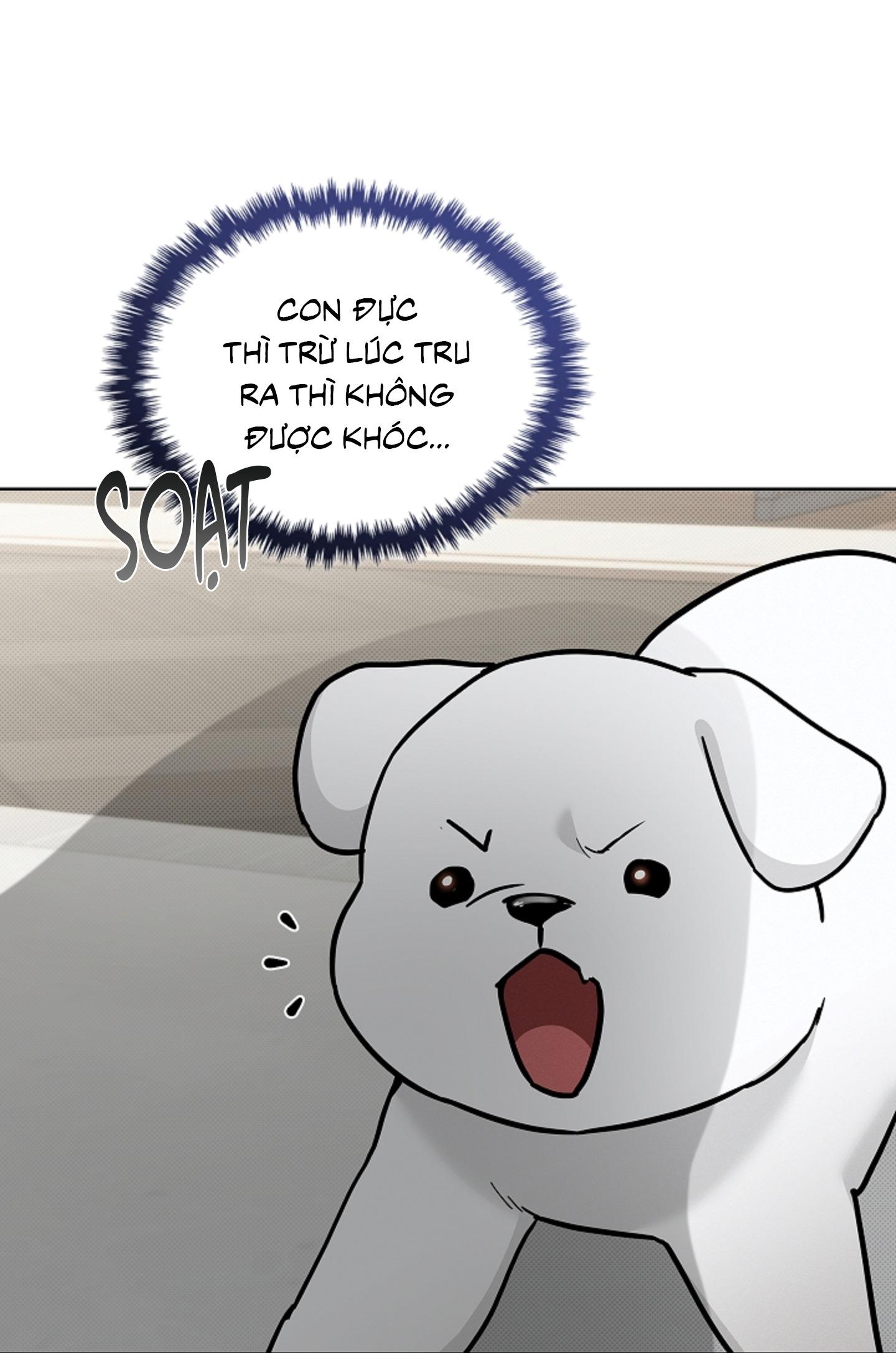 ĐỪNG ĐỘNG VÀO CÚN CON! Chapter 44.03 H - Trang 2