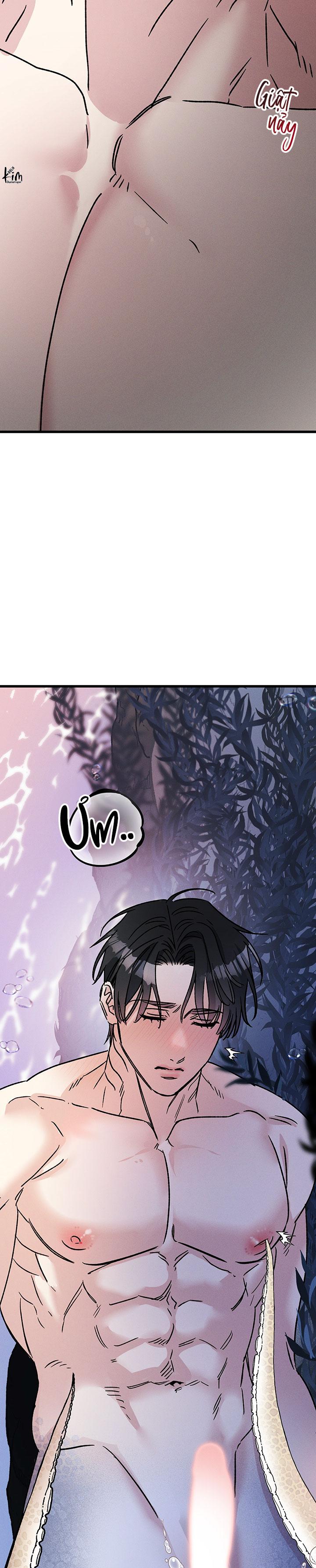 Mermaid's Cradle Chapter 2 - Trang 2