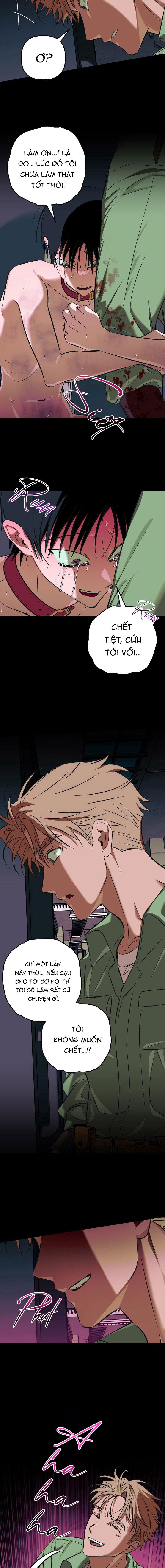 THÚ CƯNG DAMDANG Chapter 9.4 bản báo cáo end - Trang 2