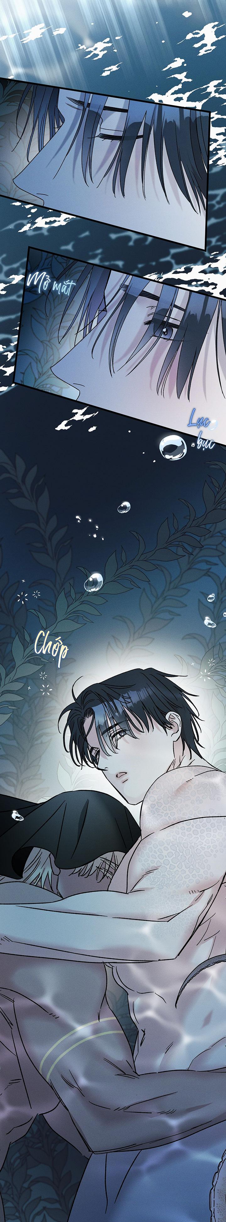 Mermaid's Cradle Chapter 11 - Next Chapter 12