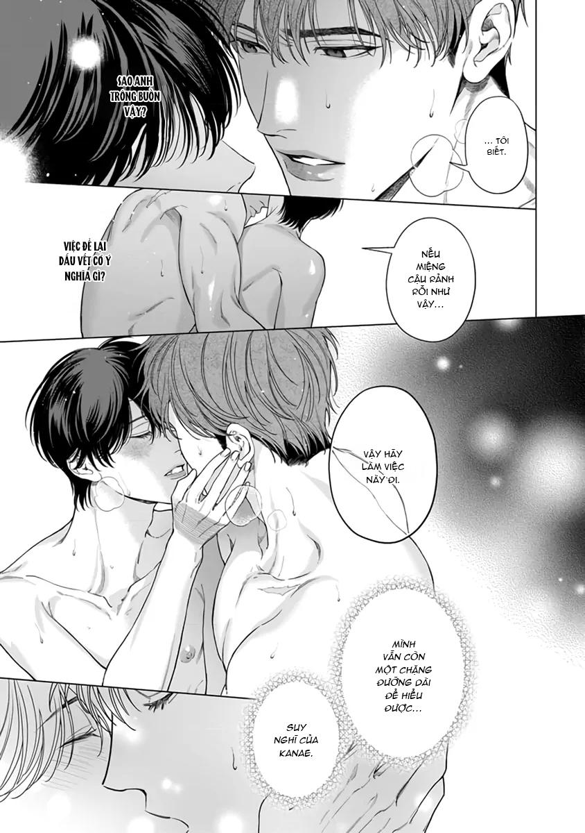 Garnet Giữa Đống Hoang Tàn Chapter 4 H - Trang 2