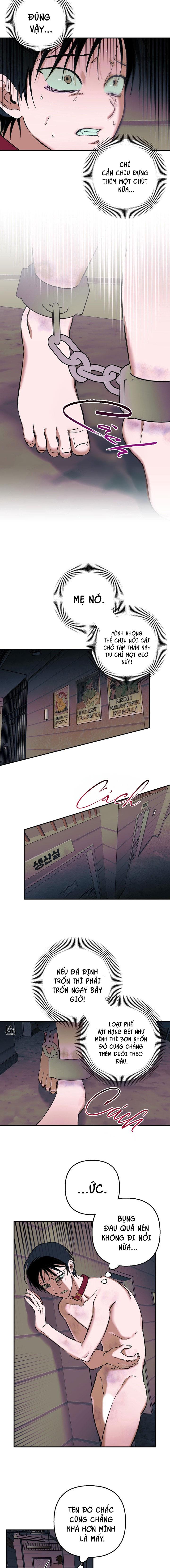 THÚ CƯNG DAMDANG Chapter 9.3 bản báo cáo 3 - Trang 2