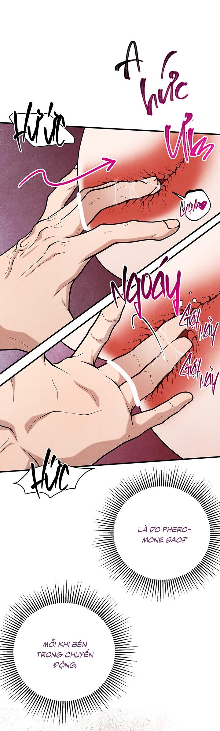HƯƠNG VỊ TÌNH THÂN Chapter 14 19+ - Trang 2