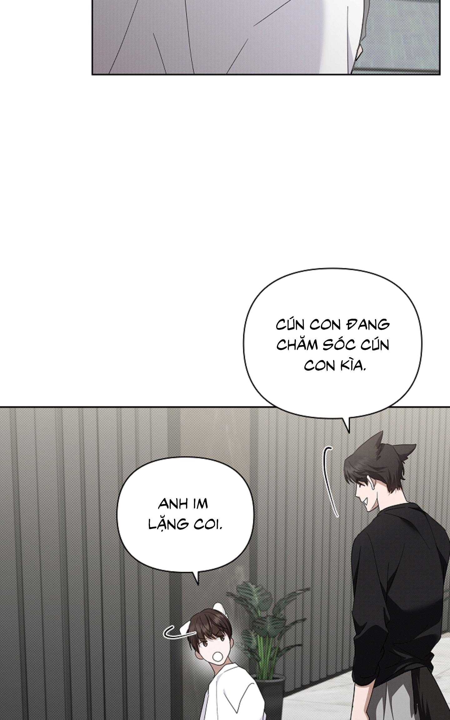 ĐỪNG ĐỘNG VÀO CÚN CON! Chapter 44.02 - Trang 2