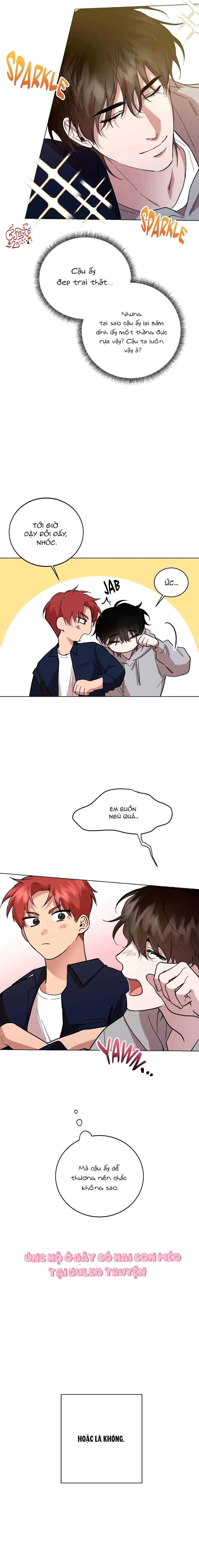 Sự Hiểu Lầm Chapter 1 - Next Chapter 2