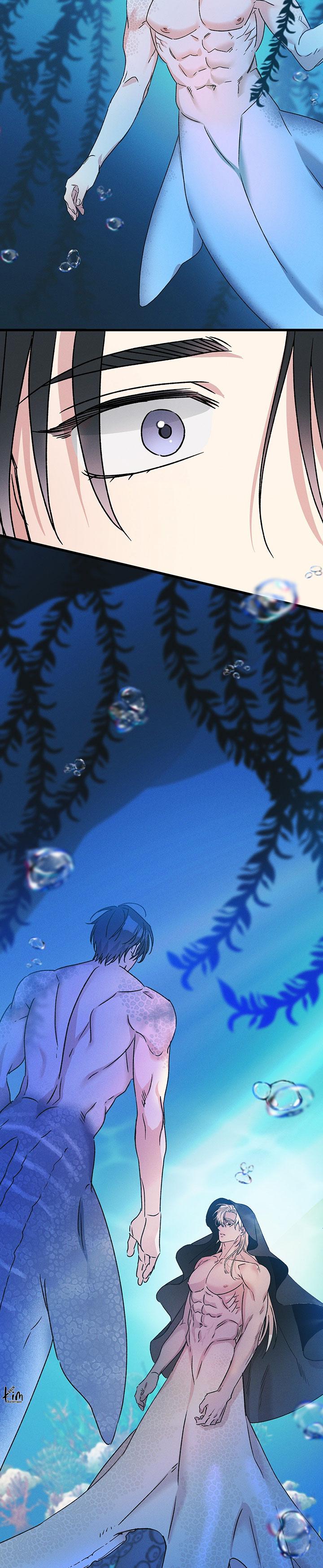 Mermaid's Cradle Chapter 2 - Trang 2