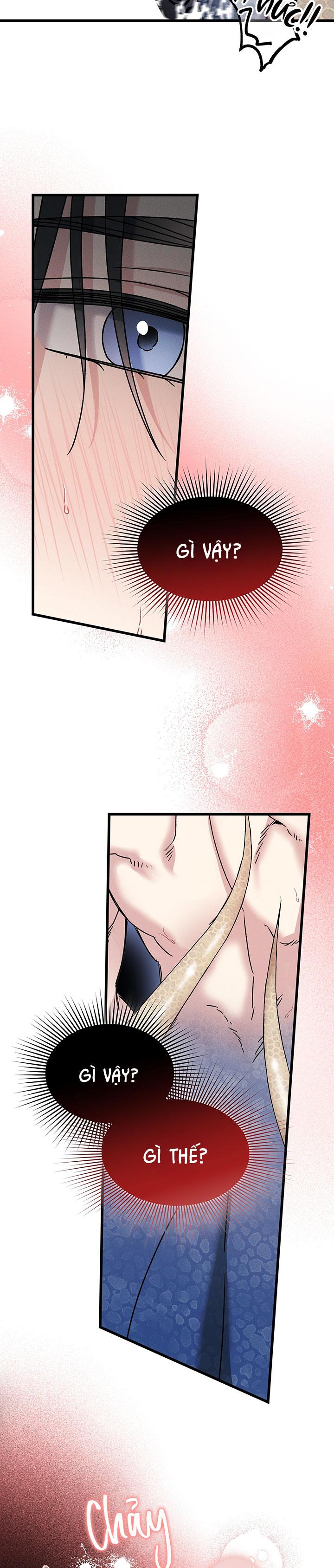 Mermaid's Cradle Chapter 2 - Trang 2