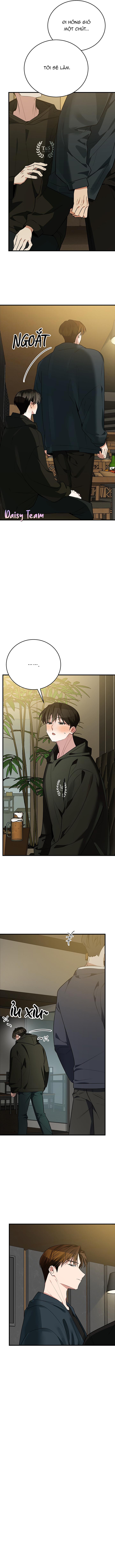 (Daisy) Sinh mèo con cho tôi mau trước khi thằng này điên lên Chapter 2 - Trang 2