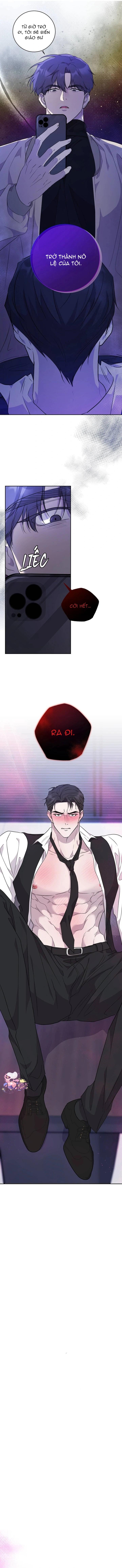 Luận Văn Cơ Thể Của Giáo Sư Chapter 2 - Trang 2