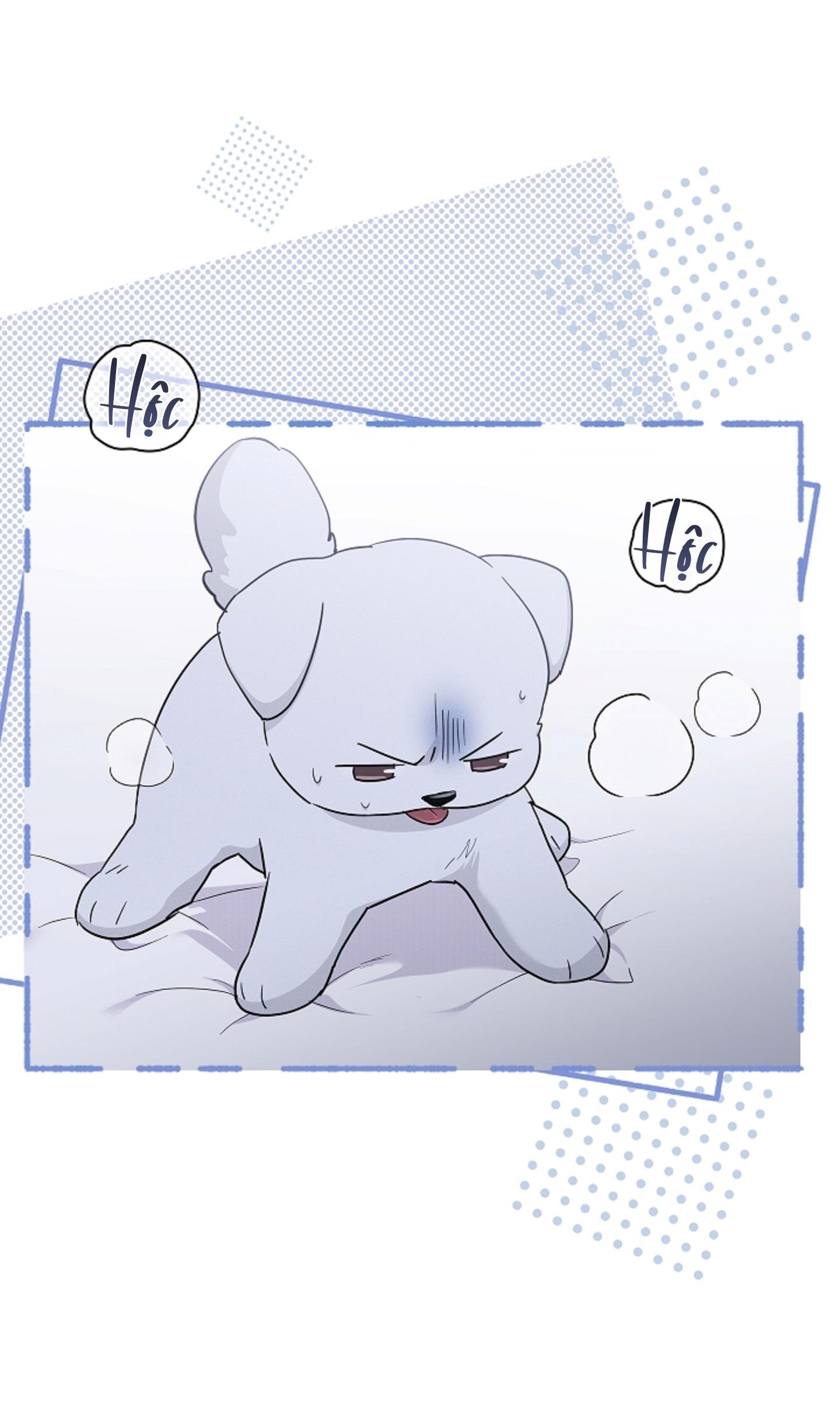 ĐỪNG ĐỘNG VÀO CÚN CON! Chapter 44.05 - Trang 2