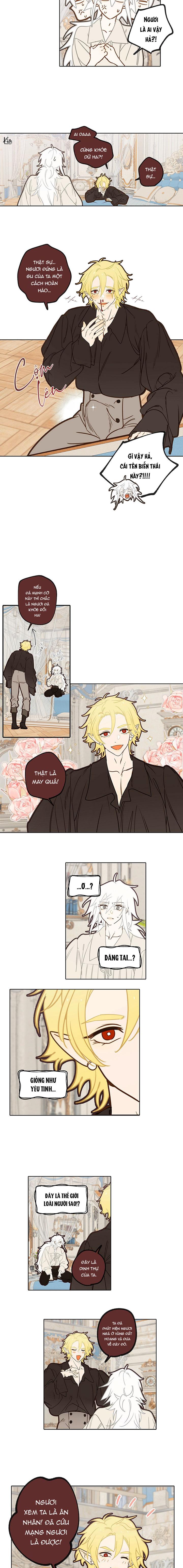 (ABO) TỚI QUỶ THÀNH TÌM PAPA Chapter 4 - Trang 2