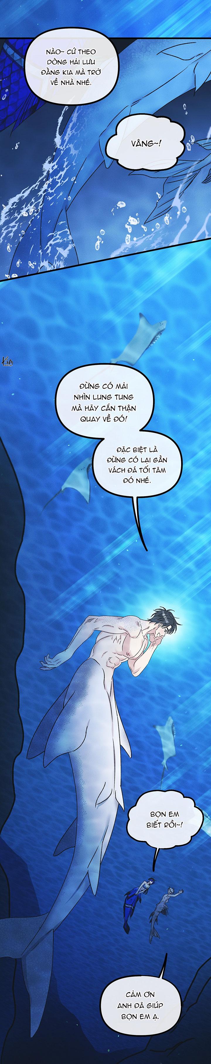 Mermaid's Cradle Chapter 1 - Trang 2
