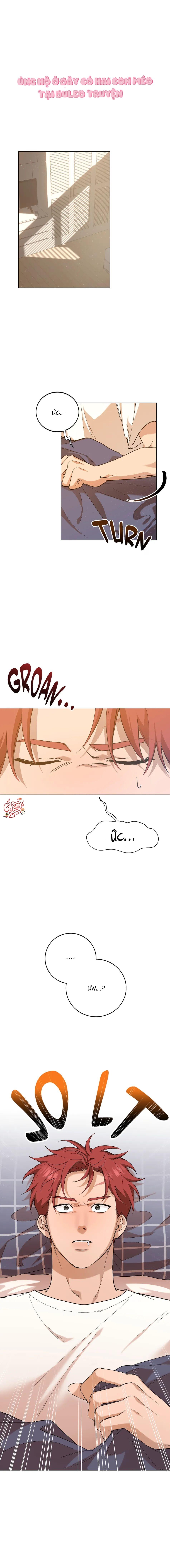 Sự Hiểu Lầm Chapter 1 - Next Chapter 2