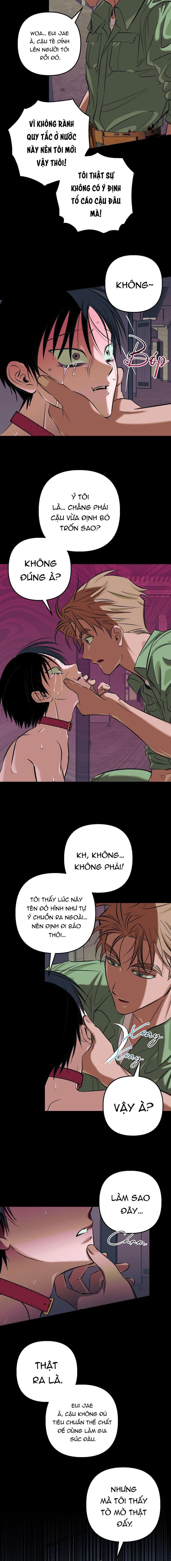 THÚ CƯNG DAMDANG Chapter 9.4 bản báo cáo end - Trang 2