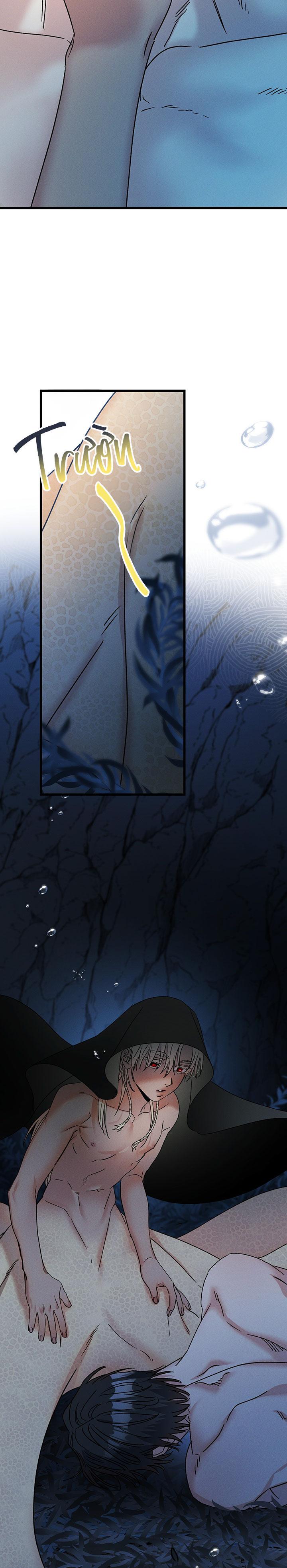 Mermaid's Cradle Chapter 2 - Trang 2