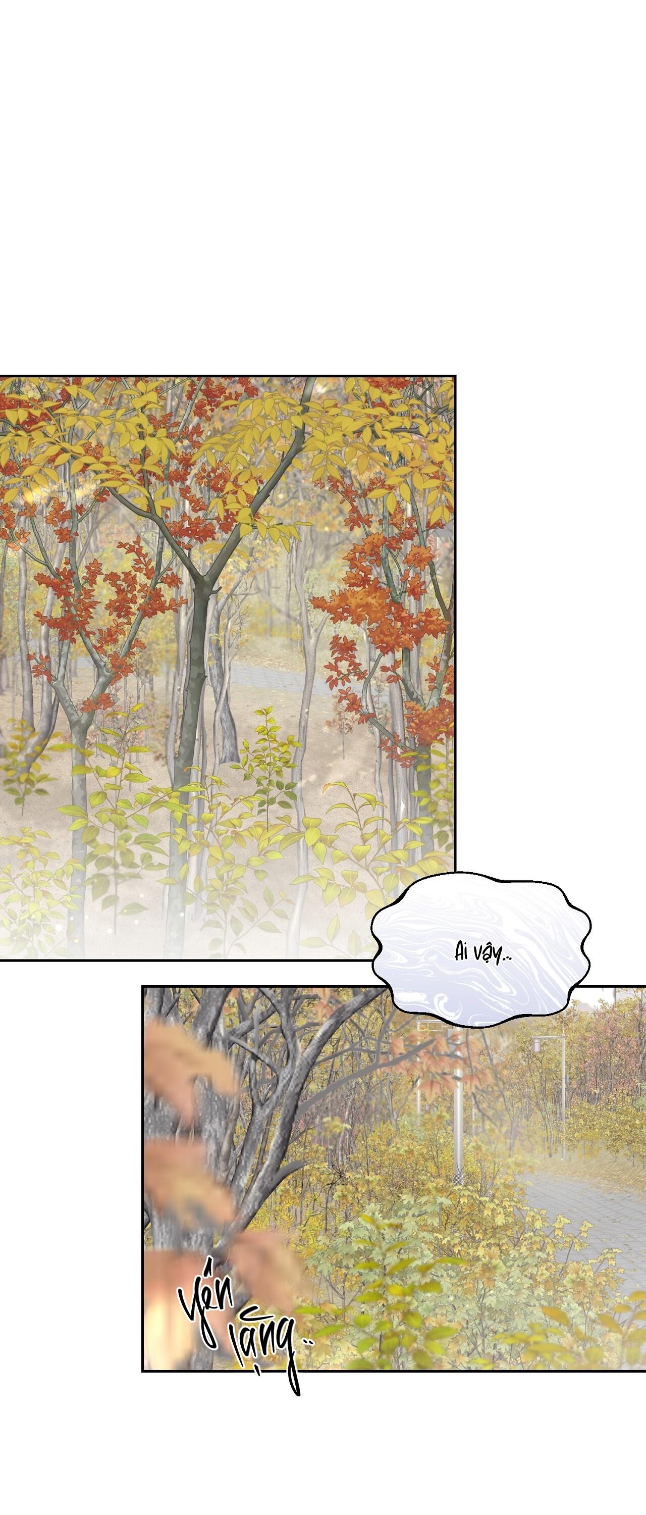 (GĐCV) ÁNH NẮNG LEN LỎI Chapter 11 - Trang 2