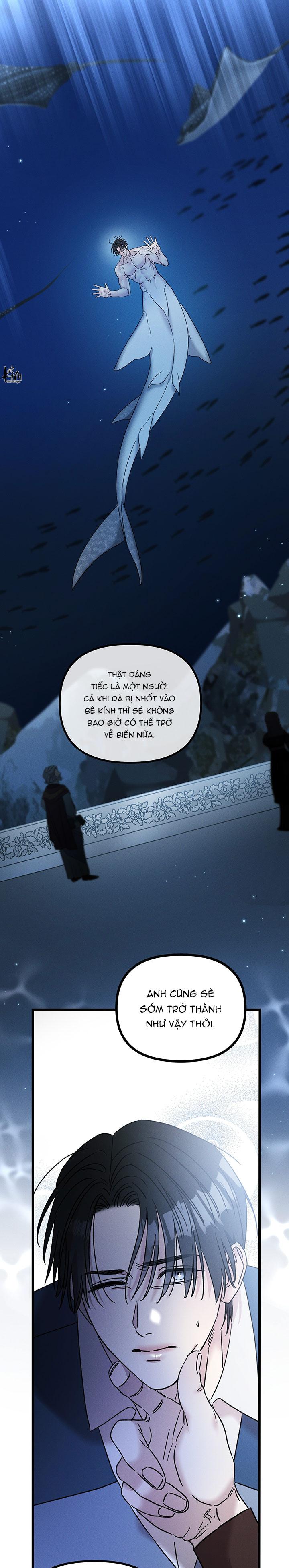 Mermaid's Cradle Chapter 10 - Trang 2
