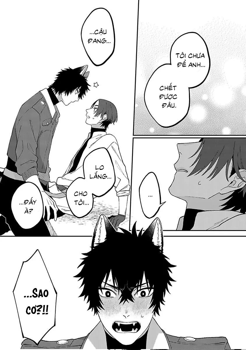 Hai Chú Chó Rắc Rối Chapter 4 - Trang 2