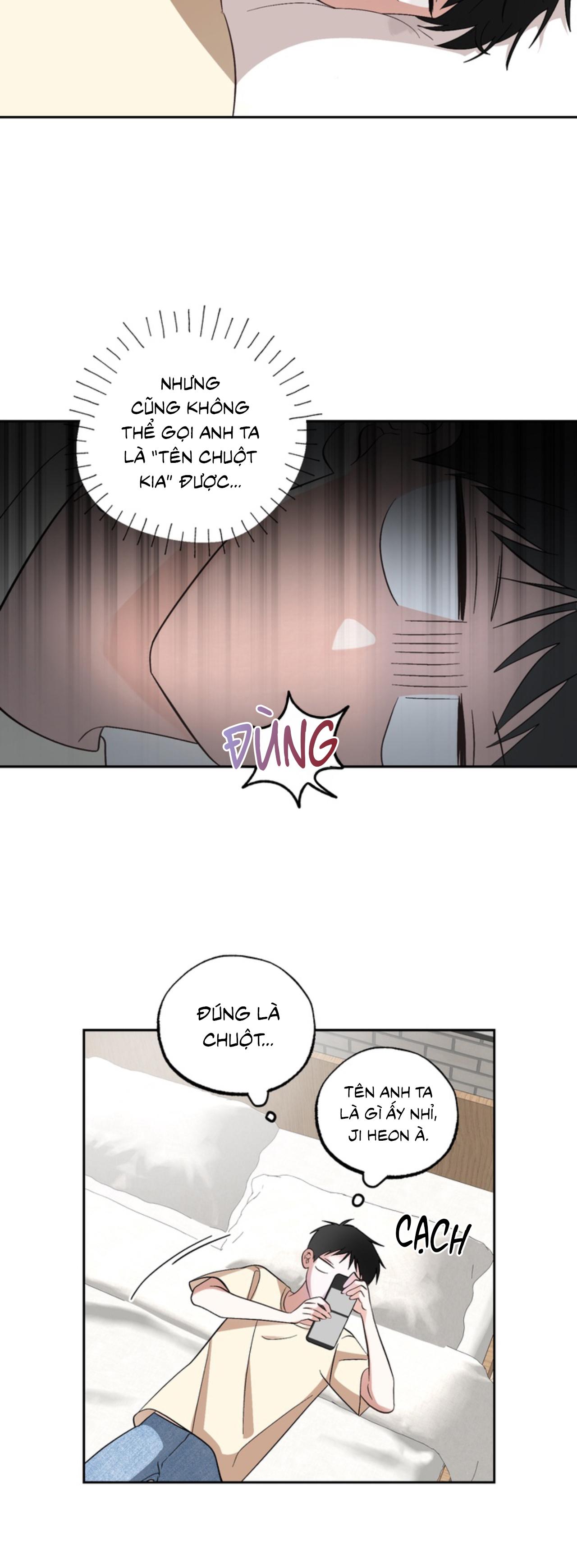 XIN HÃY YÊU THƯƠNG DÙ TÔI LÀ CHUỘT Chapter 5 - Trang 2