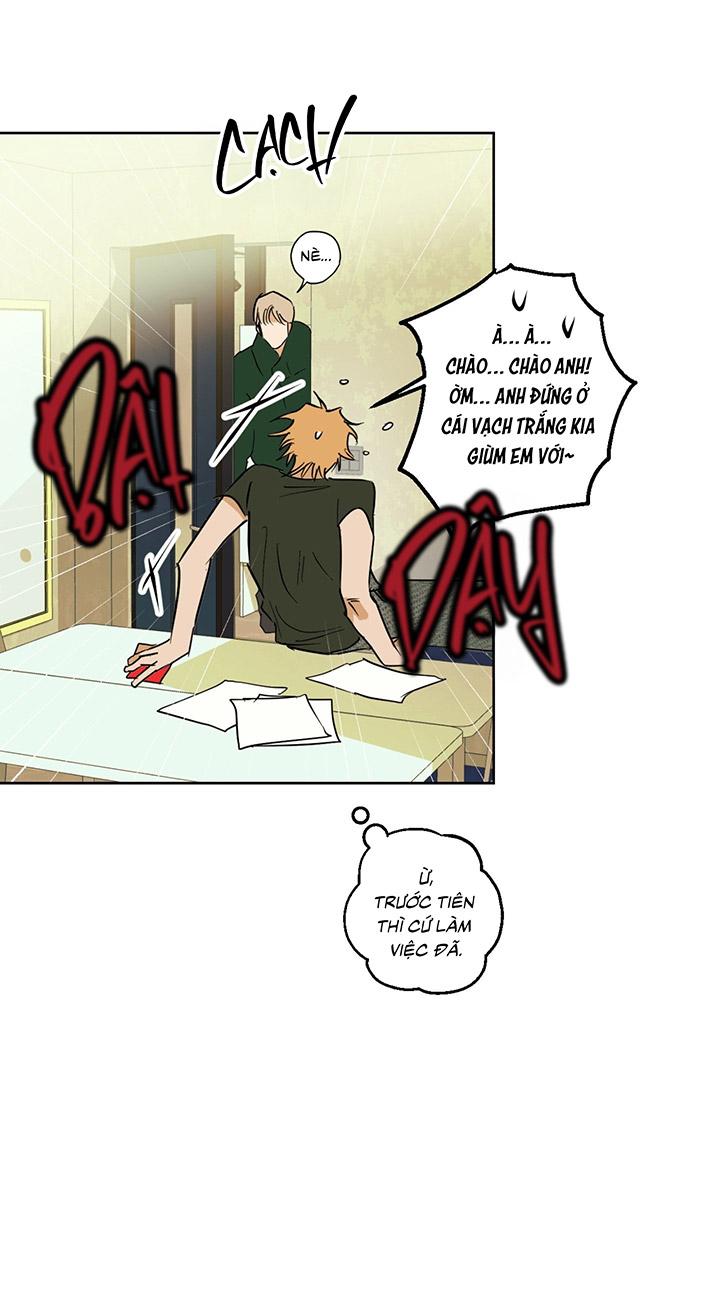 [DDT] Phiên Bản Hoàn Hảo Chapter 1 19+ - Trang 2