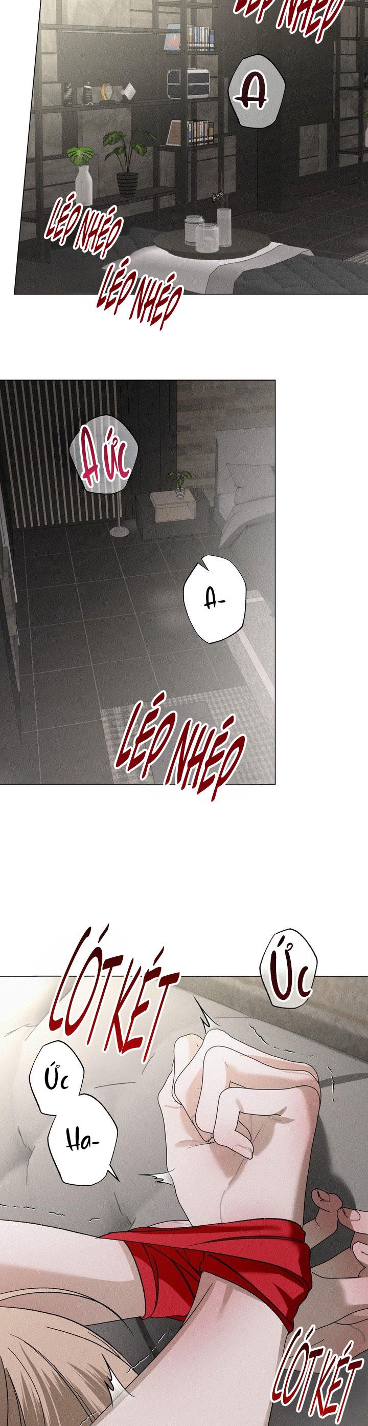 BL NGẮN LOẠN LUÂN - GIA ĐÌNH Chapter 11.5 20 tuổi end - Trang 2