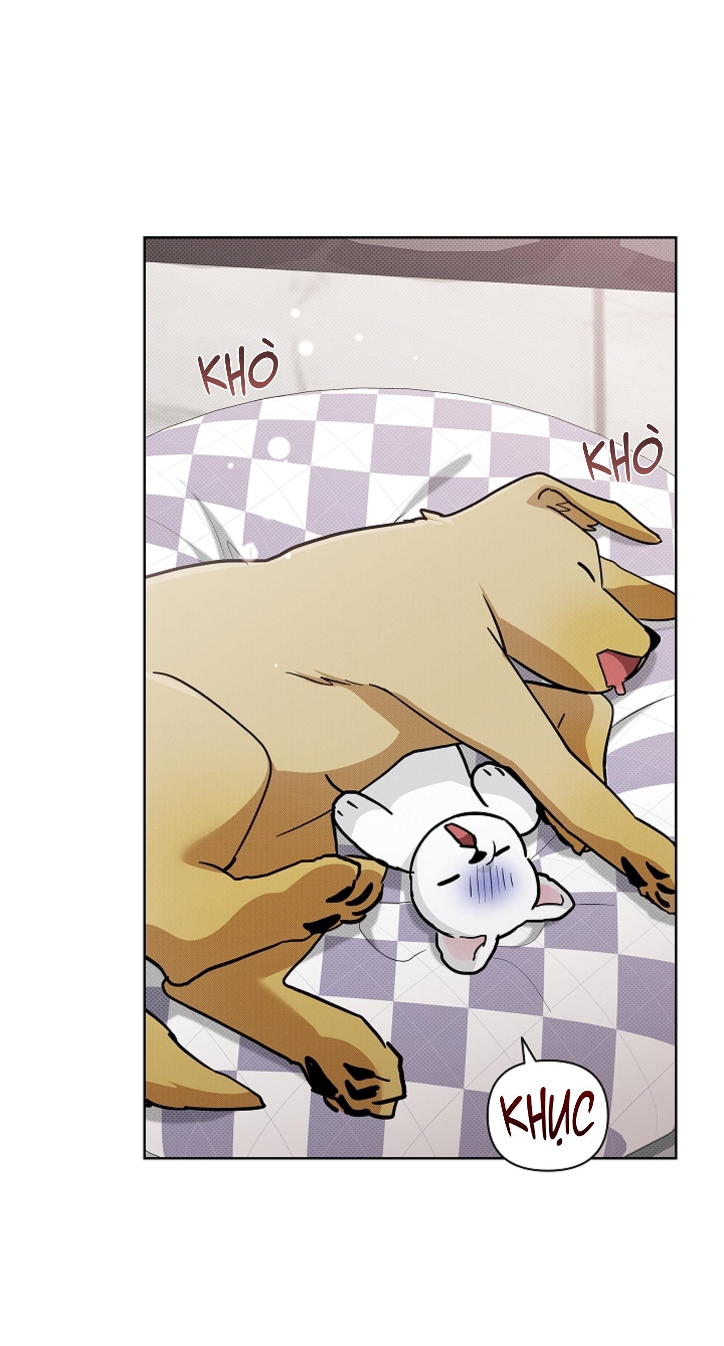 ĐỪNG ĐỘNG VÀO CÚN CON! Chapter 44.03 H - Trang 2