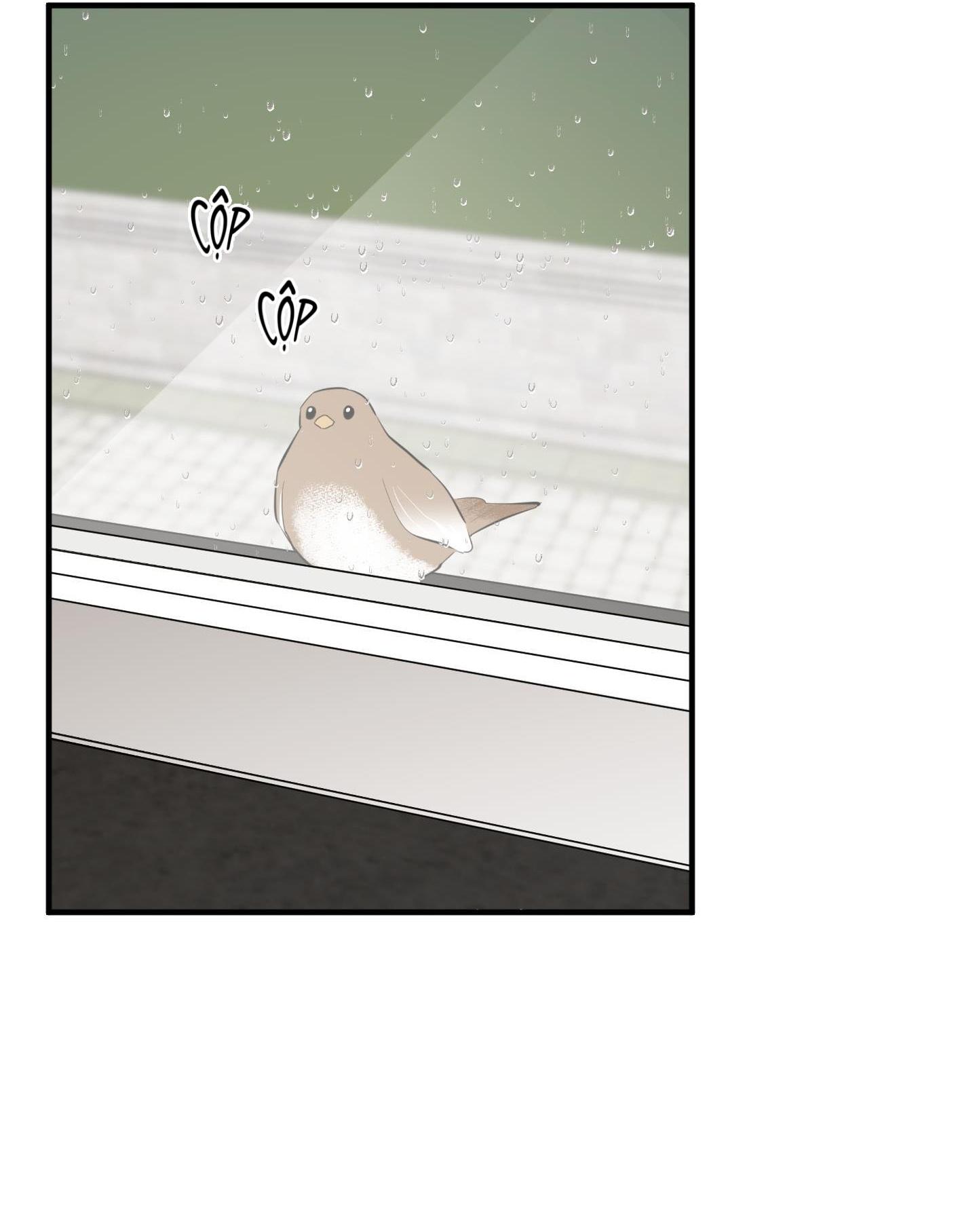(CBunu) Hoa Vô Danh Chapter 32 - Trang 2