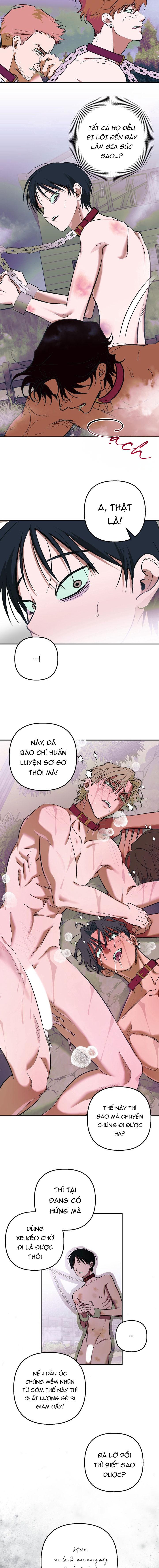 THÚ CƯNG DAMDANG Chapter 9.2 bản báo cáo 2 - Next Chapter 9.2 bản báo cáo 2