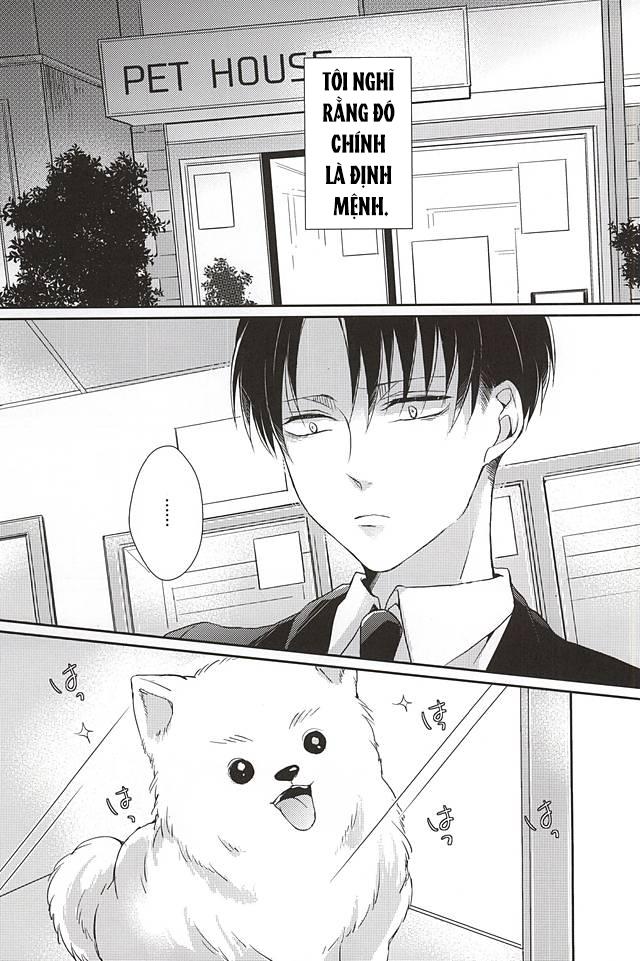 Tuyển Tập Oneshot Chapter 27.1 - Trang 2