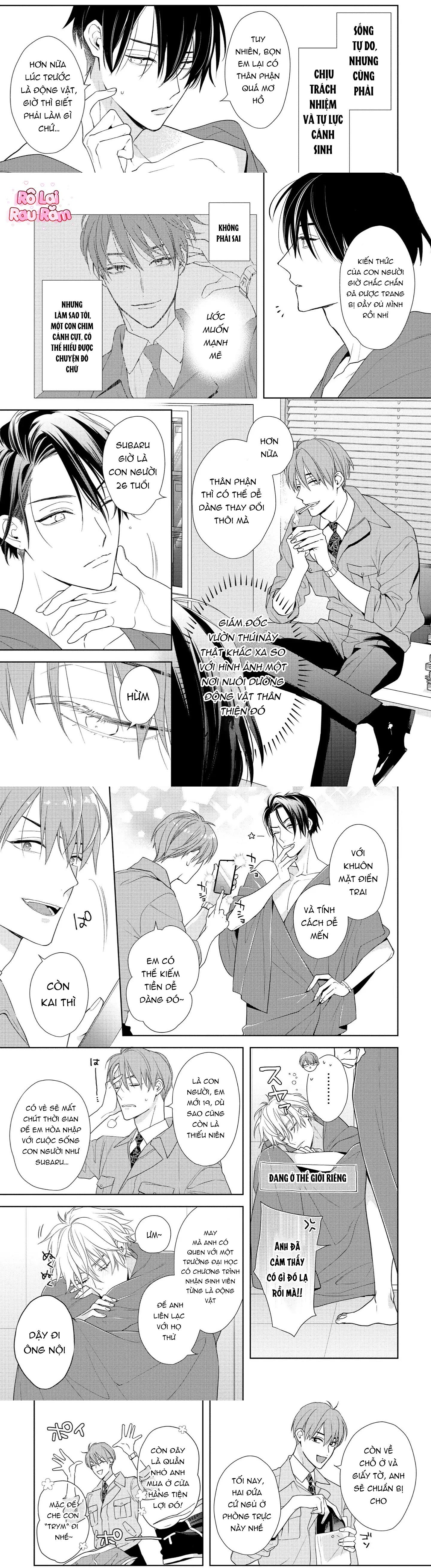Ái tình từ vì sao sa Chapter 1 - Trang 2