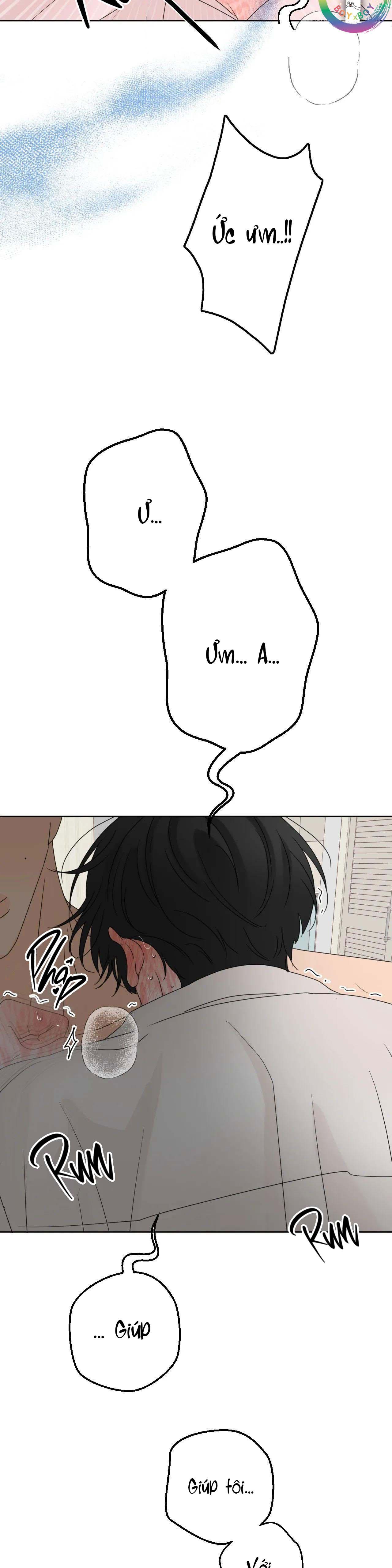 Ranh Giới Mùi Hương Chapter 15 Vuốt toàn thân - Trang 2