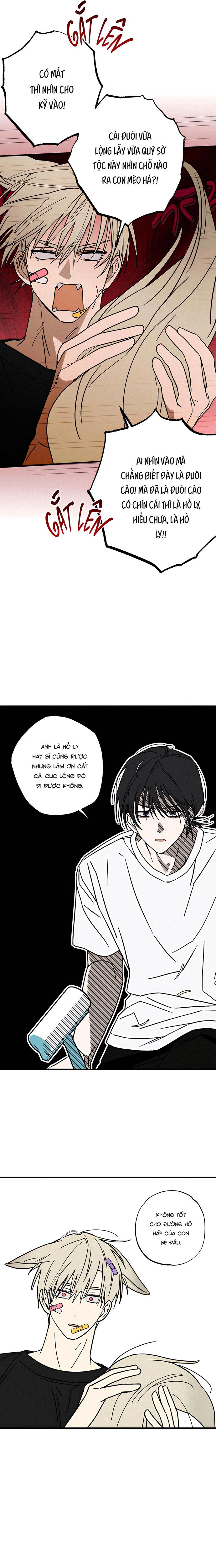 Chứng Nhận Quan Hệ Gia Đình Chapter 4 - Trang 2