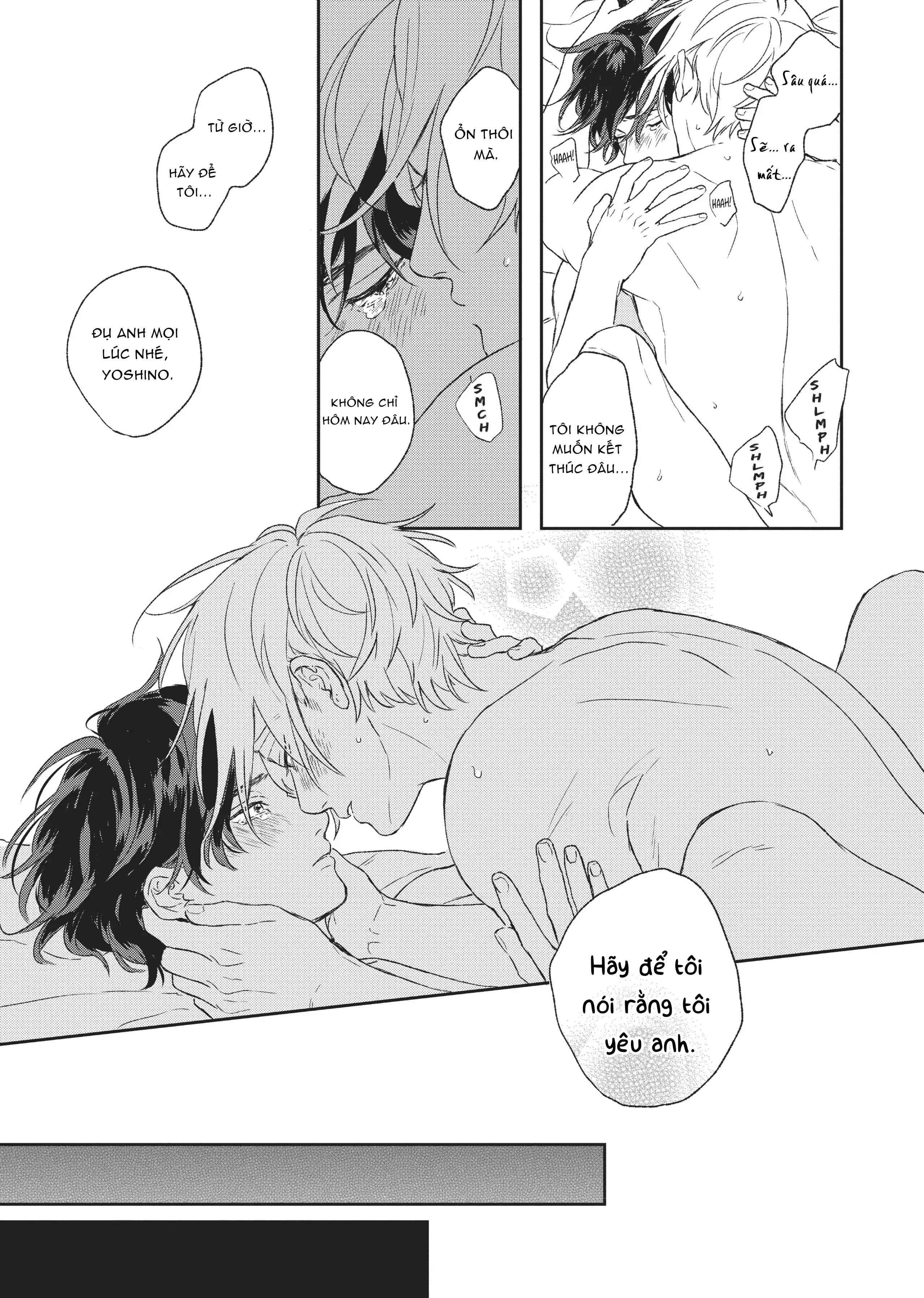 Tôi Đâu Định Yêu Cậu Chapter 5 H - Trang 2