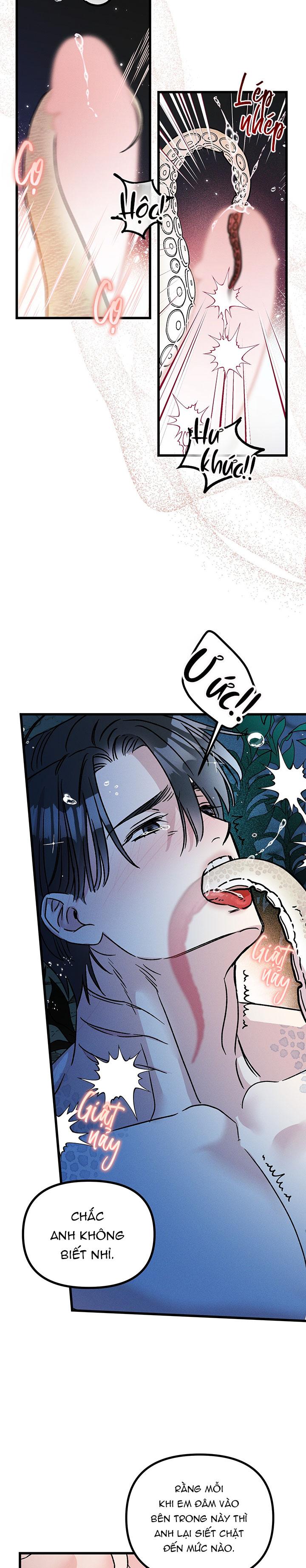 Mermaid's Cradle Chapter 4 - Trang 2