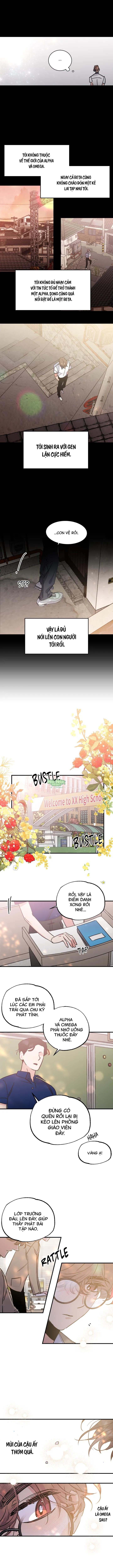 Vũ Trụ Nơi Thiên Thạch Rơi Chapter 1 Hachiennhom - Trang 2