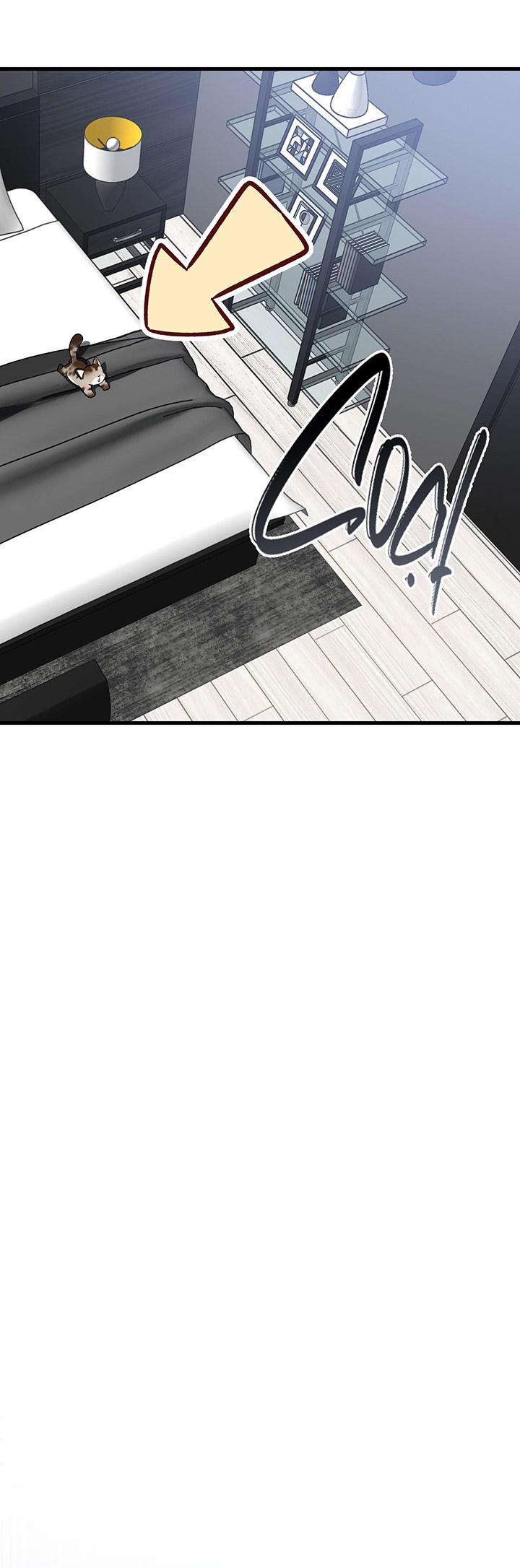 [DDT] HÃY SINH NHẤT MIÊU HÀI WILDCAT, NHƯ BẤT DỤC KIẾN NGÃ PHÁT CUỒNG! Chapter 1 19+ - Trang 2