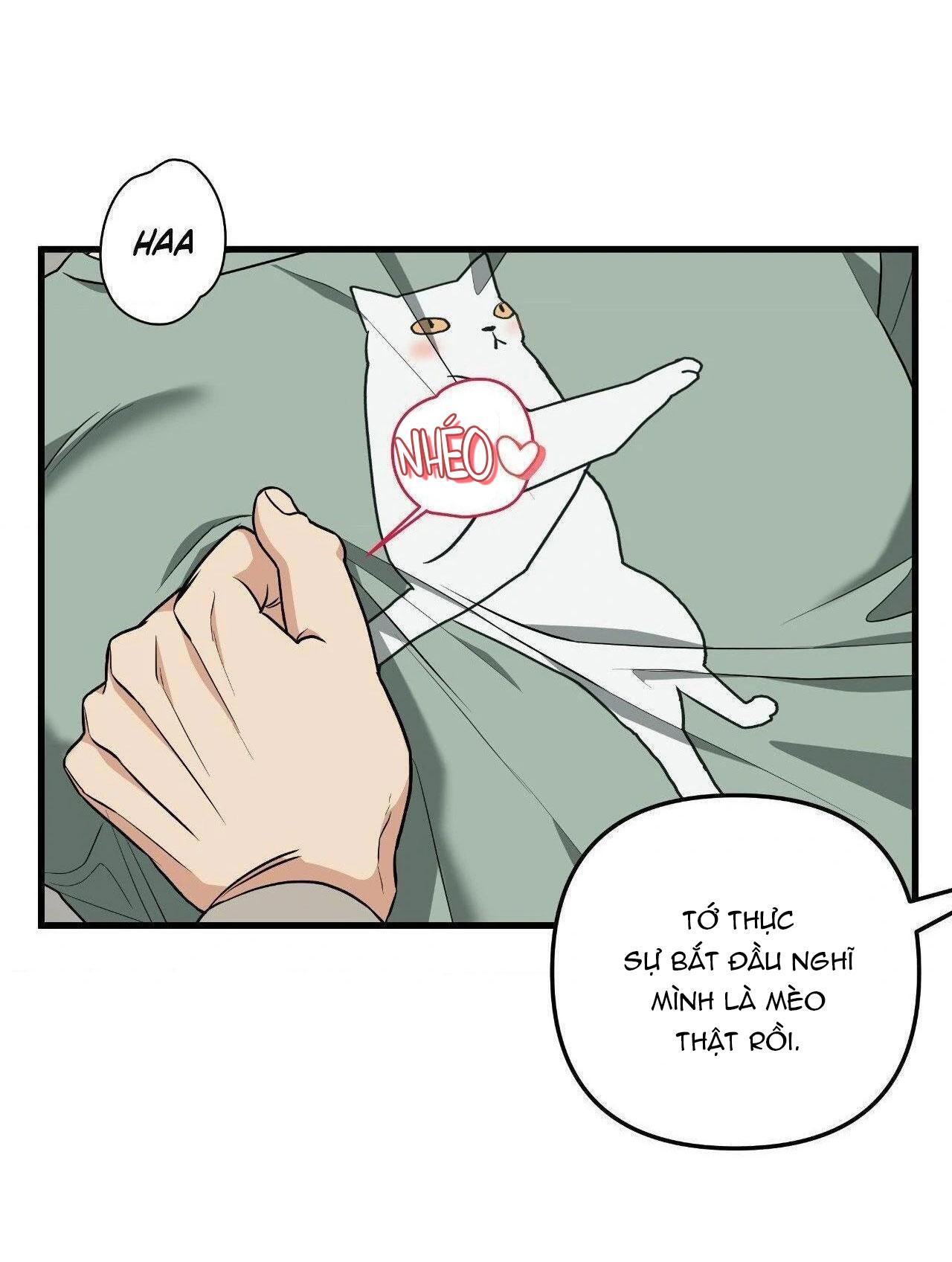 Bốt Hôn Chapter 5 - Trang 2